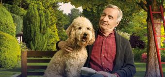 Man sitting on park bench with arm around a dog